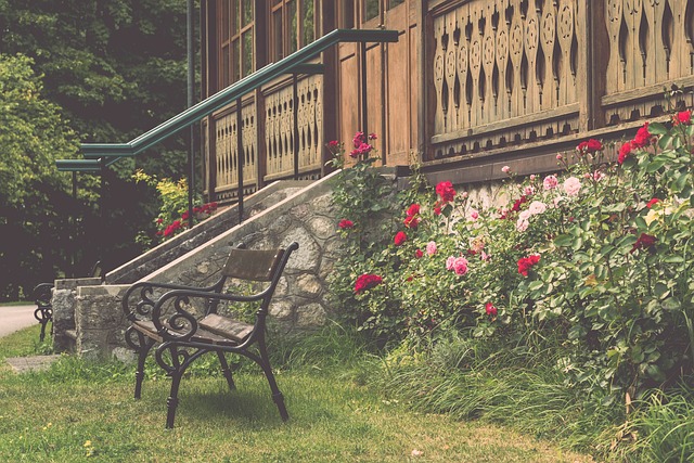 科的成长起 科的成长起