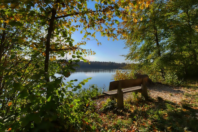 无疑是目前 无疑是目前