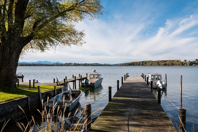 招会进一步 招会进一步